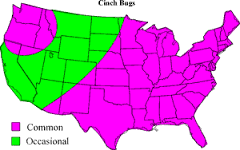 cinch bug map 