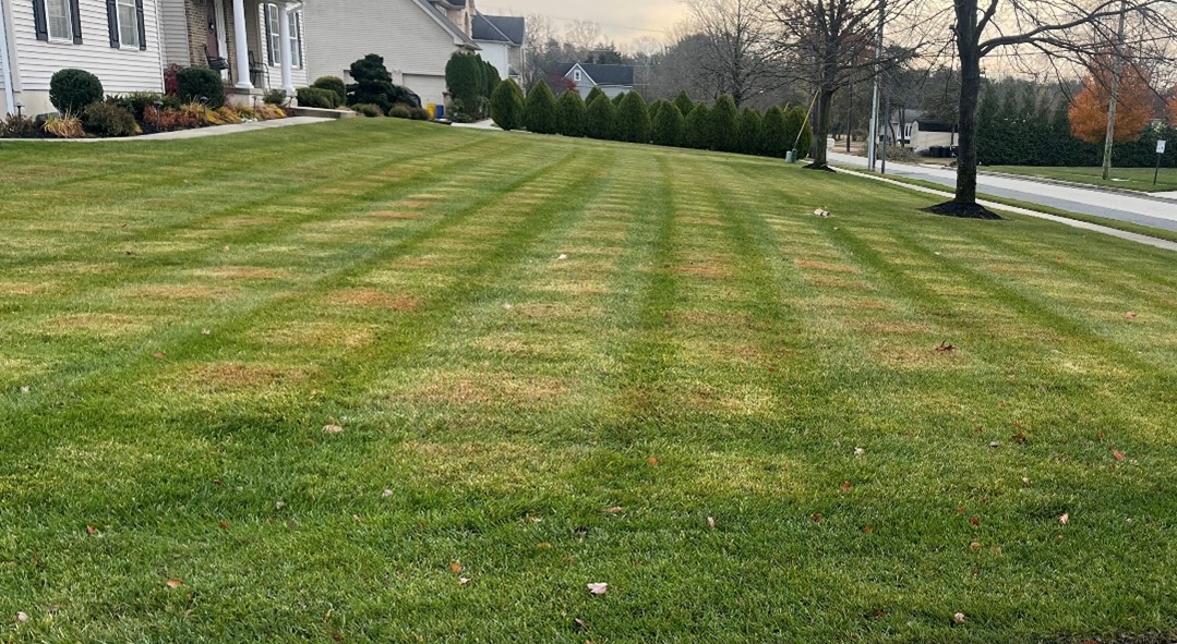 Mowed green frontyard grass before residential suburban house.