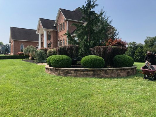 Spring Lawn Issues in New Jersey: What to expect and what to do